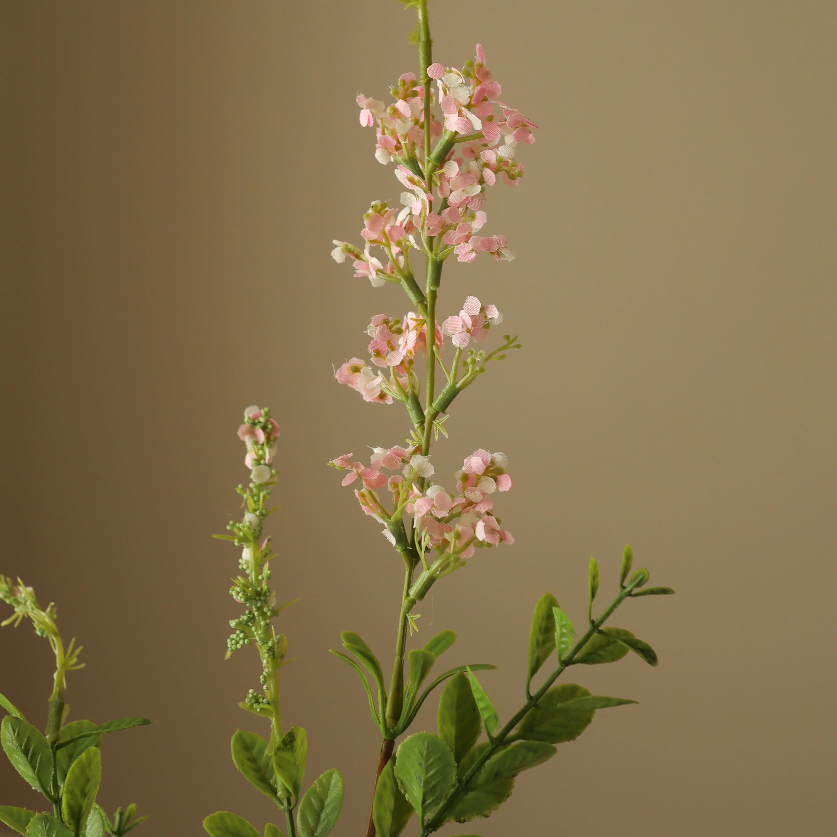 Light Pink Wild Flower - Image 3