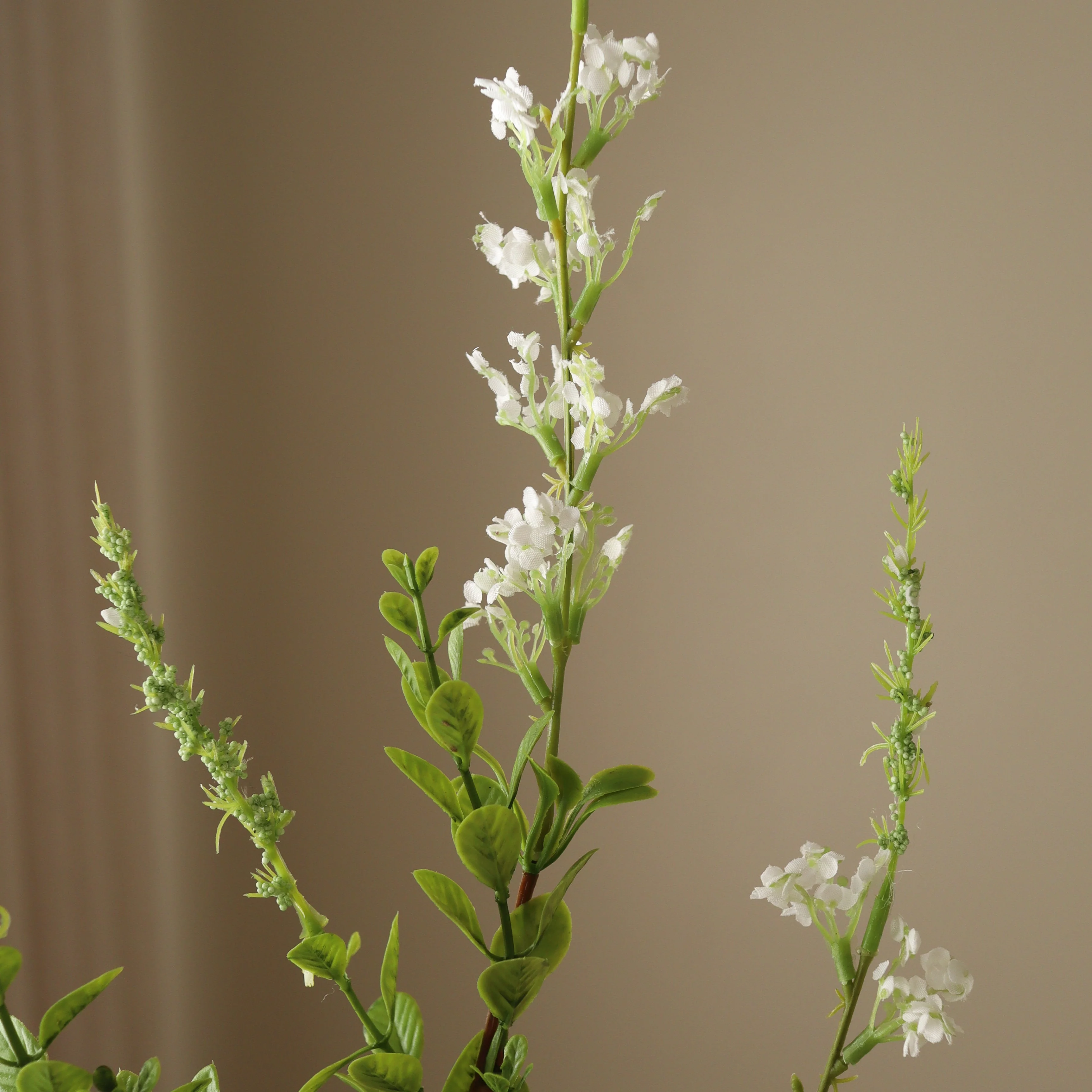 White Wild Flower - Image 3