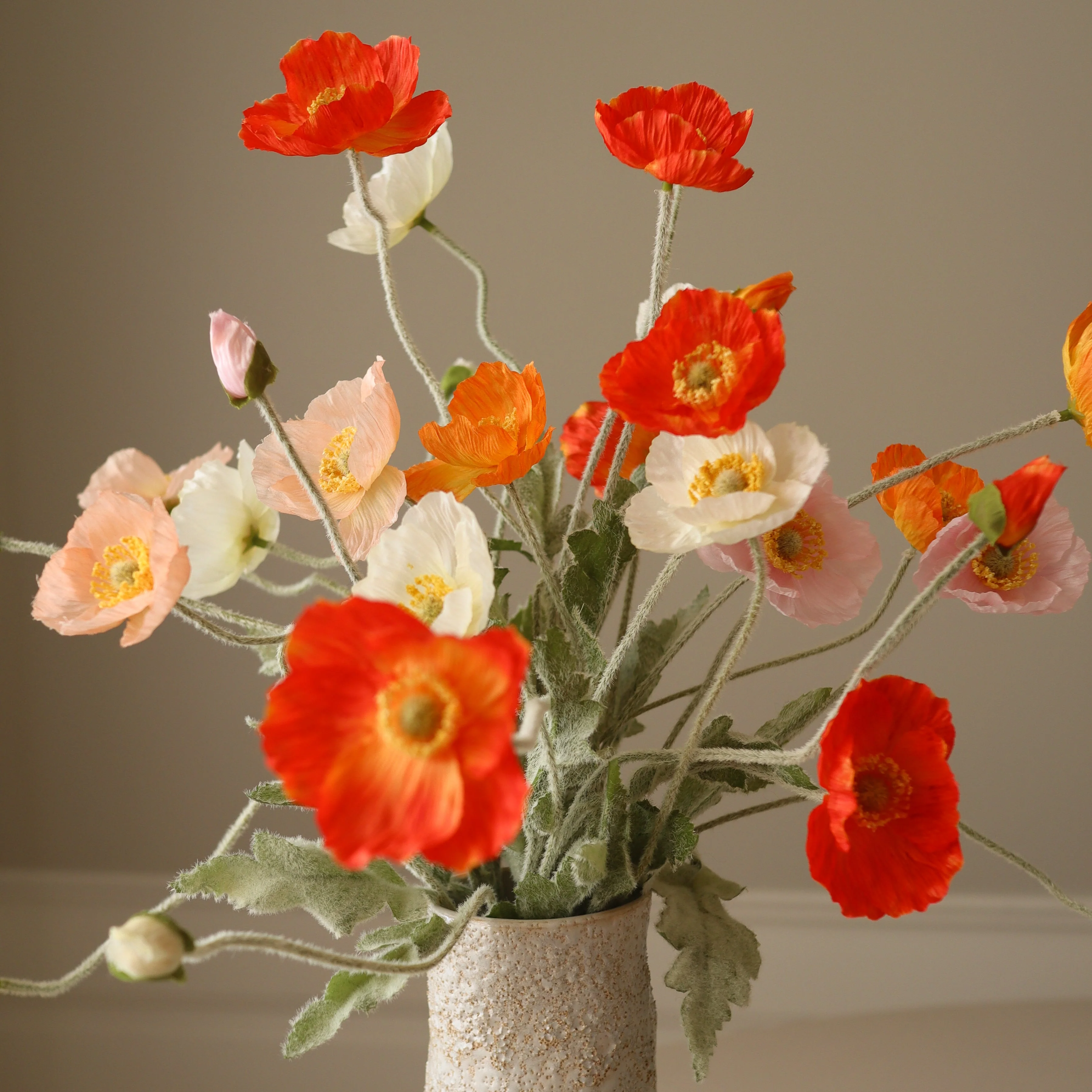 Wild Poppy Dance - Image 3